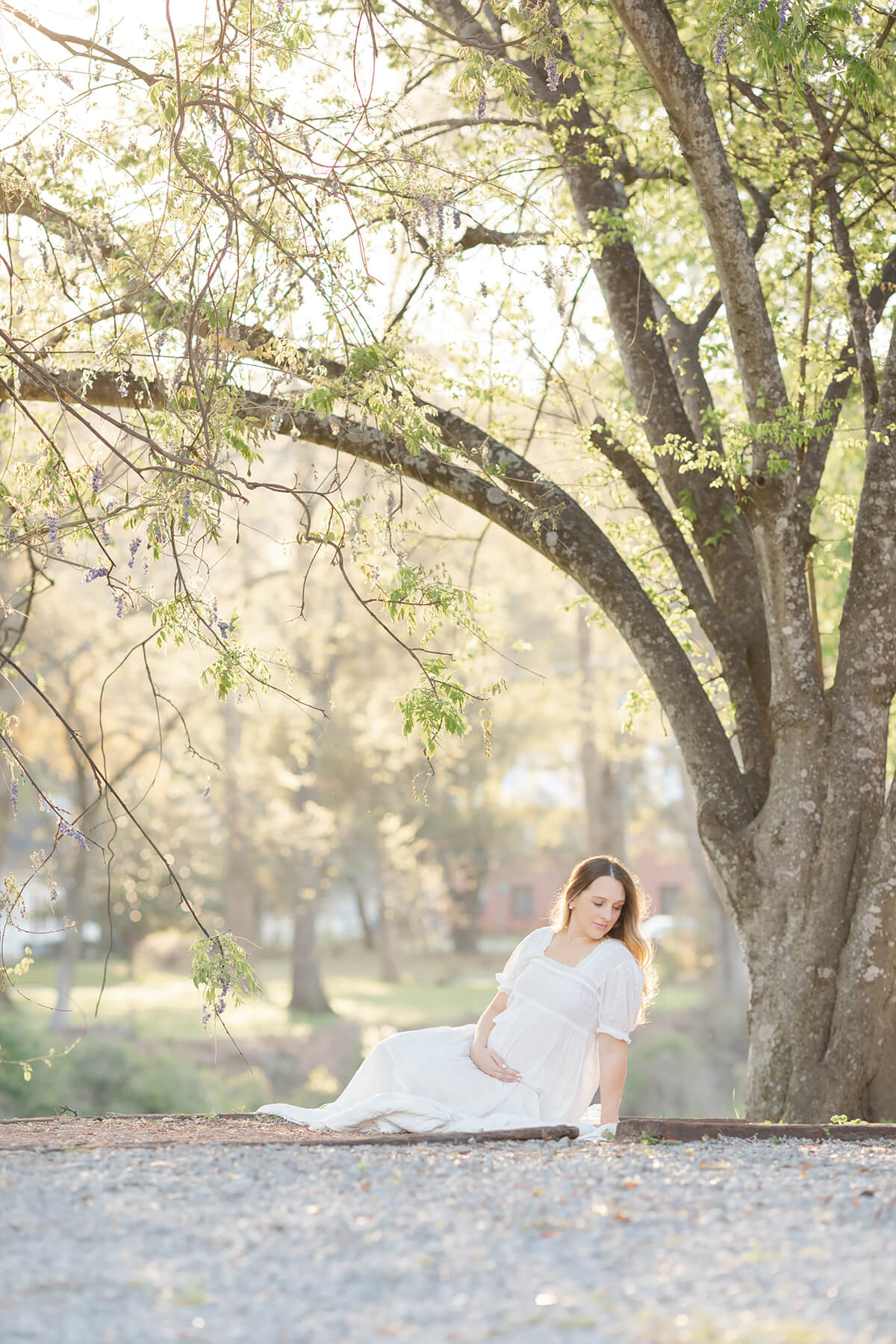 outdoor maternity photographers in omaha under a big tree